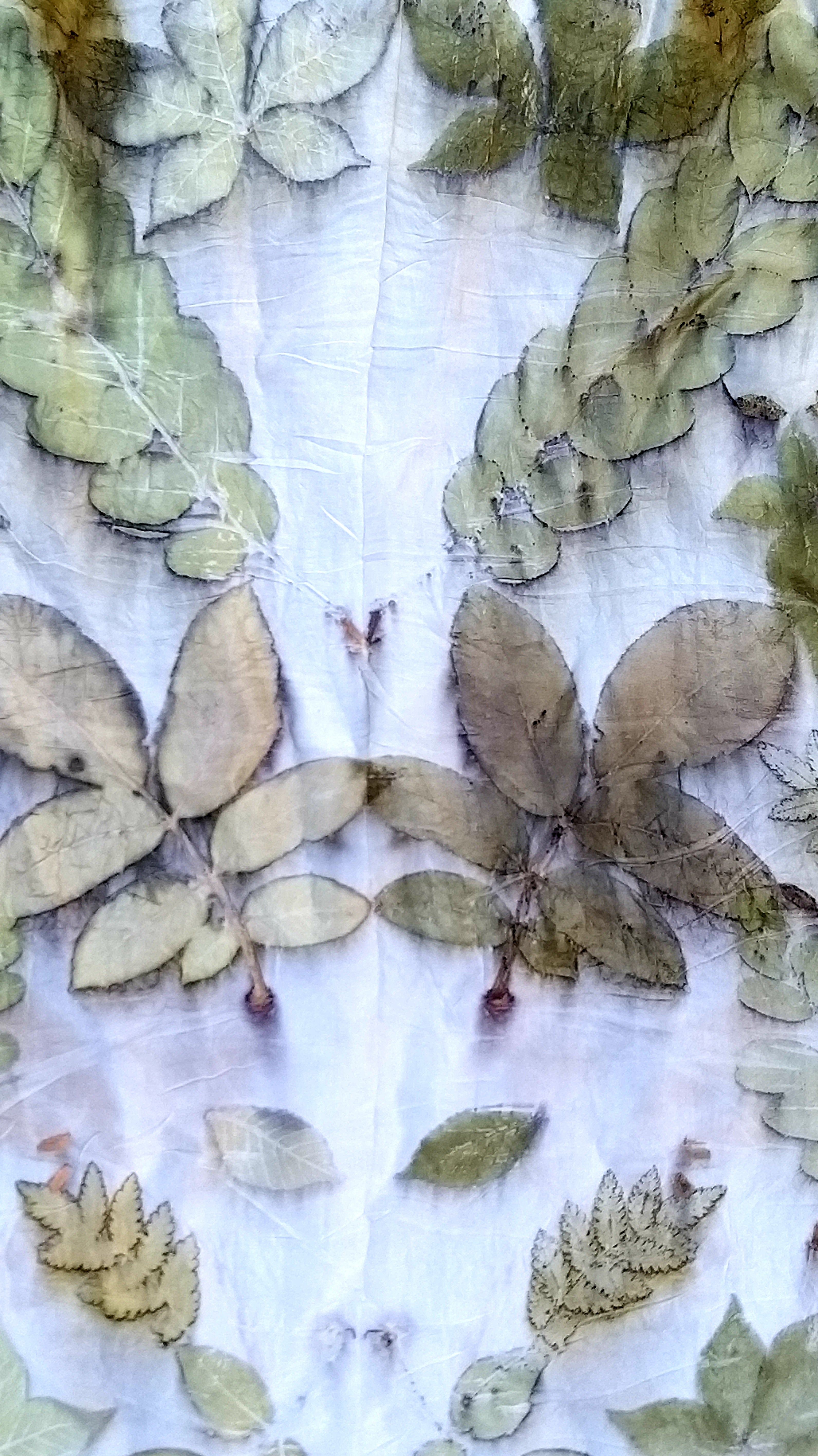 Silk Scarves - Garden Collection