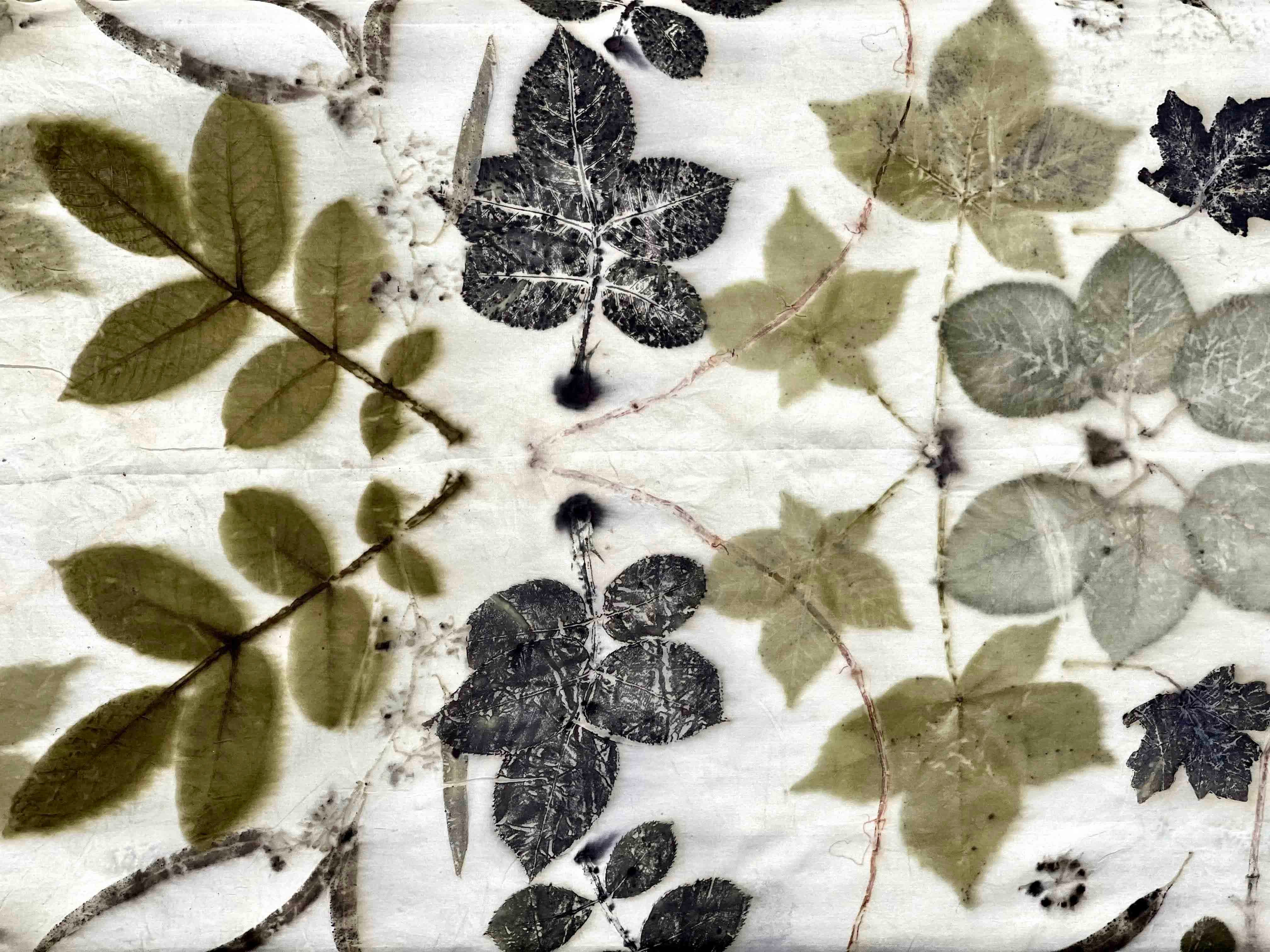 Silk Scarves - Garden Collection